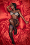 paloma-22522